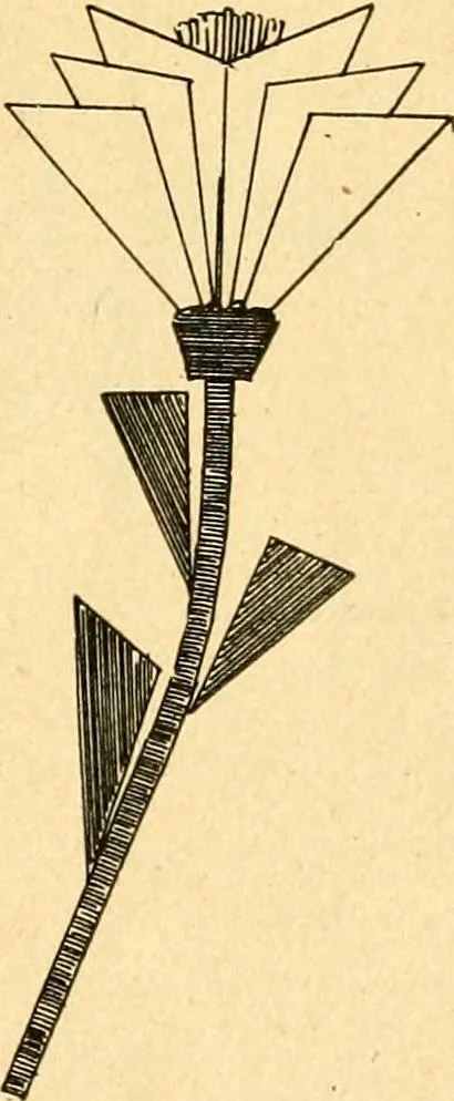 An illustration from The Kindergarten magazine, 1891, leaf 804