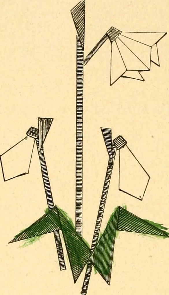 An illustration from The Kindergarten magazine, 1891, leaf 805