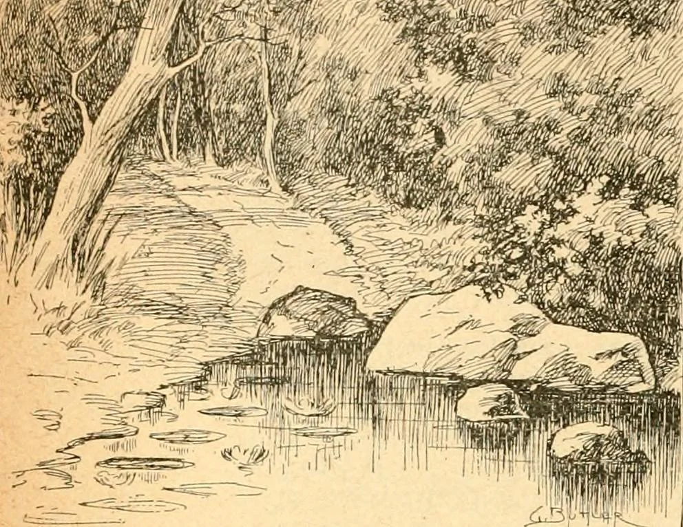 An illustration from The Kindergarten magazine, 1891, leaf 847