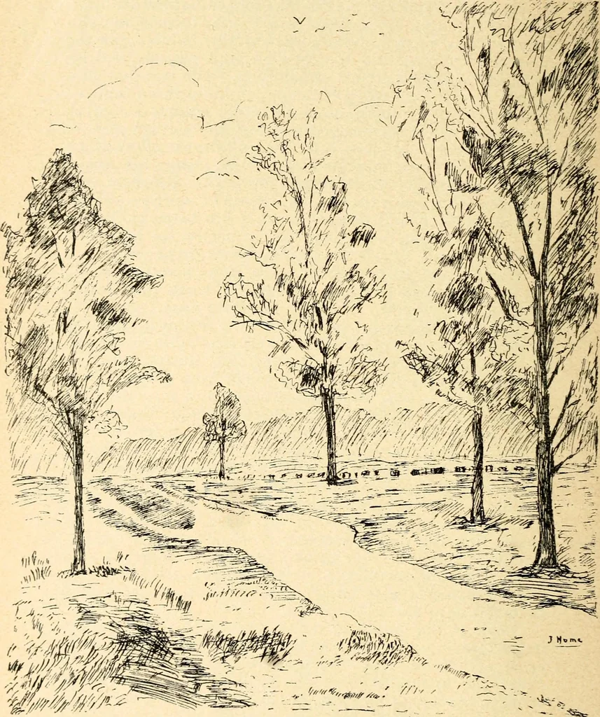 An illustration from The Kindergarten magazine, 1891, leaf 204