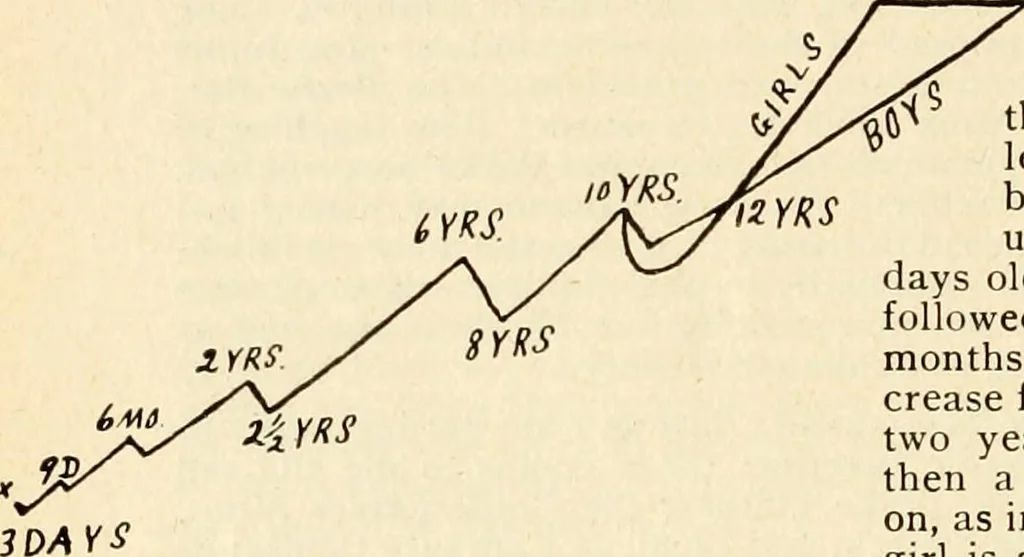 An illustration from The Kindergarten magazine, 1891, leaf 733