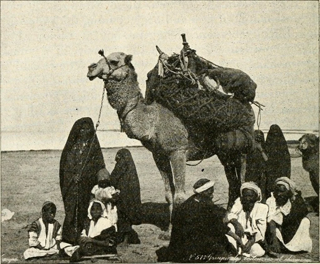 An illustration from The Kindergarten magazine, 1891, leaf 661