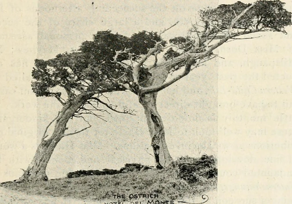 An illustration from The Kindergarten magazine, 1891, leaf 666