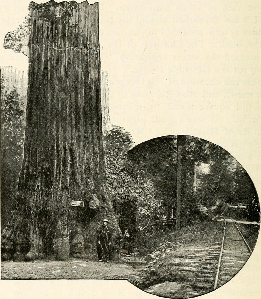 An illustration from The Kindergarten magazine, 1891, leaf 673
