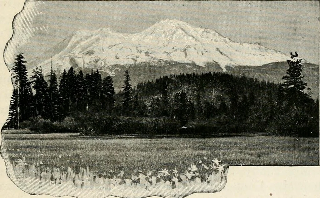 An illustration from The Kindergarten magazine, 1891, leaf 682
