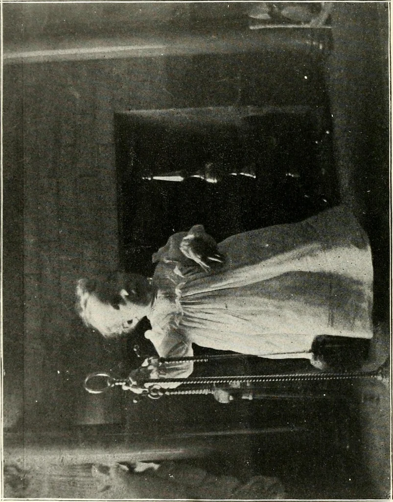 An illustration from The Kindergarten magazine, 1891, leaf 81