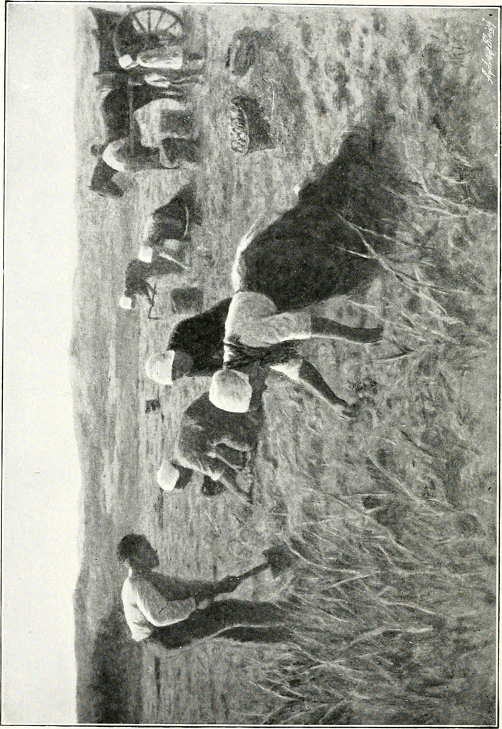 An illustration from The Kindergarten magazine, 1891, leaf 13