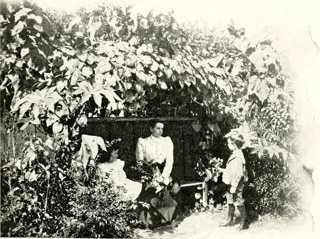 An illustration from The Kindergarten magazine, 1891, leaf 374