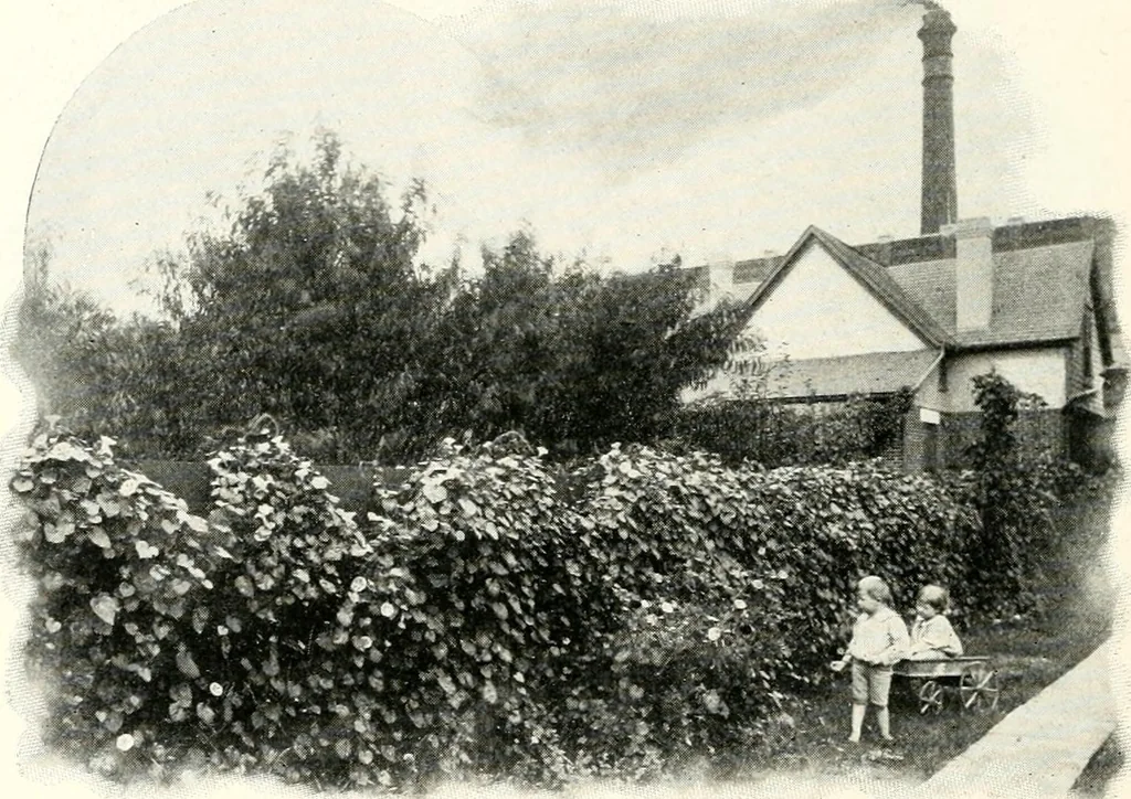 An illustration from The Kindergarten magazine, 1891, leaf 381