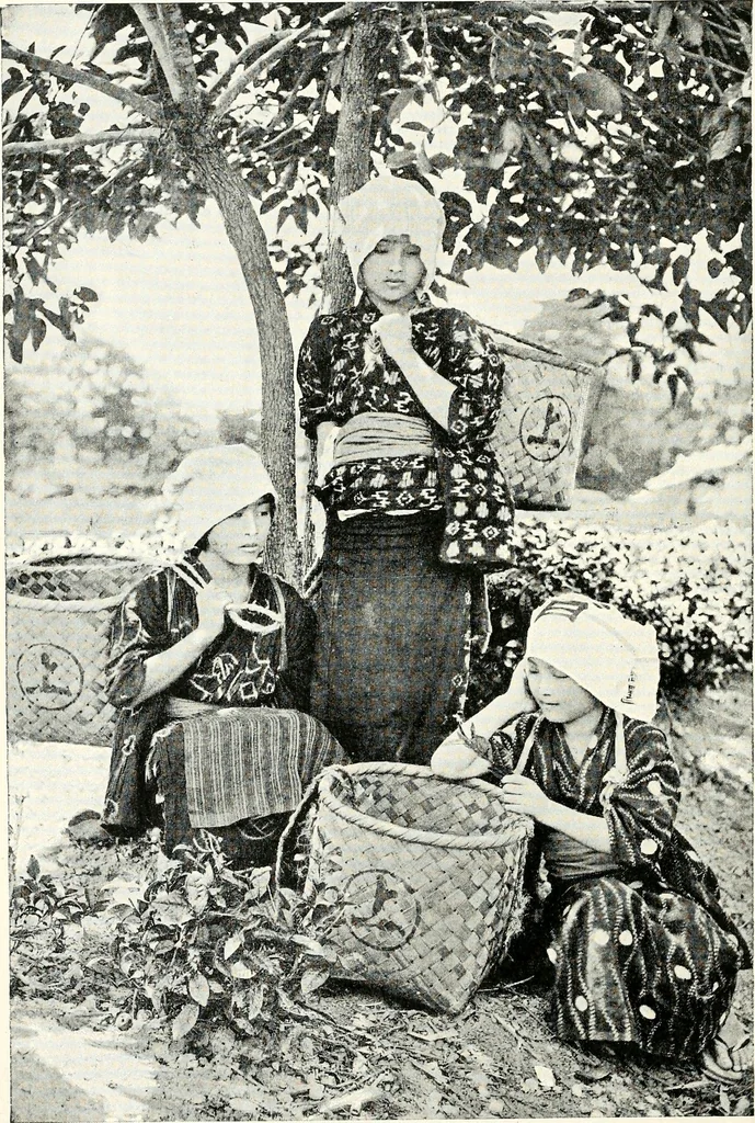 An illustration from The Kindergarten magazine, 1891, leaf 651