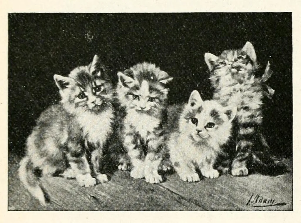 An illustration from The Kindergarten magazine, 1891, leaf 598