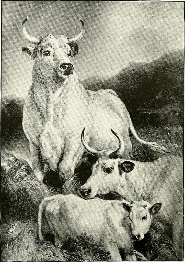 An illustration from The Kindergarten magazine, 1891, leaf 128