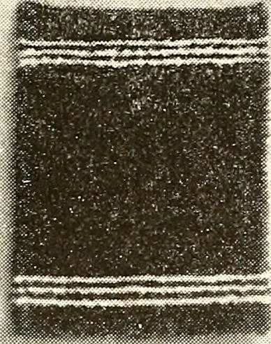 An illustration from The Kindergarten magazine, 1891, leaf 256