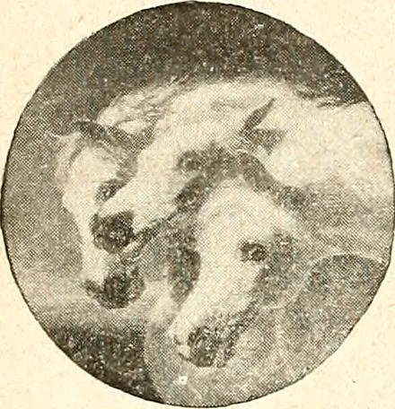 An illustration from The Kindergarten magazine, 1891, leaf 266