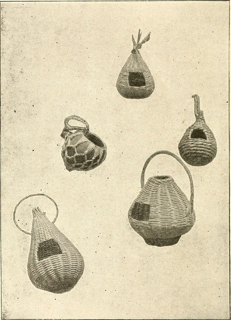 An illustration from The Kindergarten magazine, 1891, leaf 454
