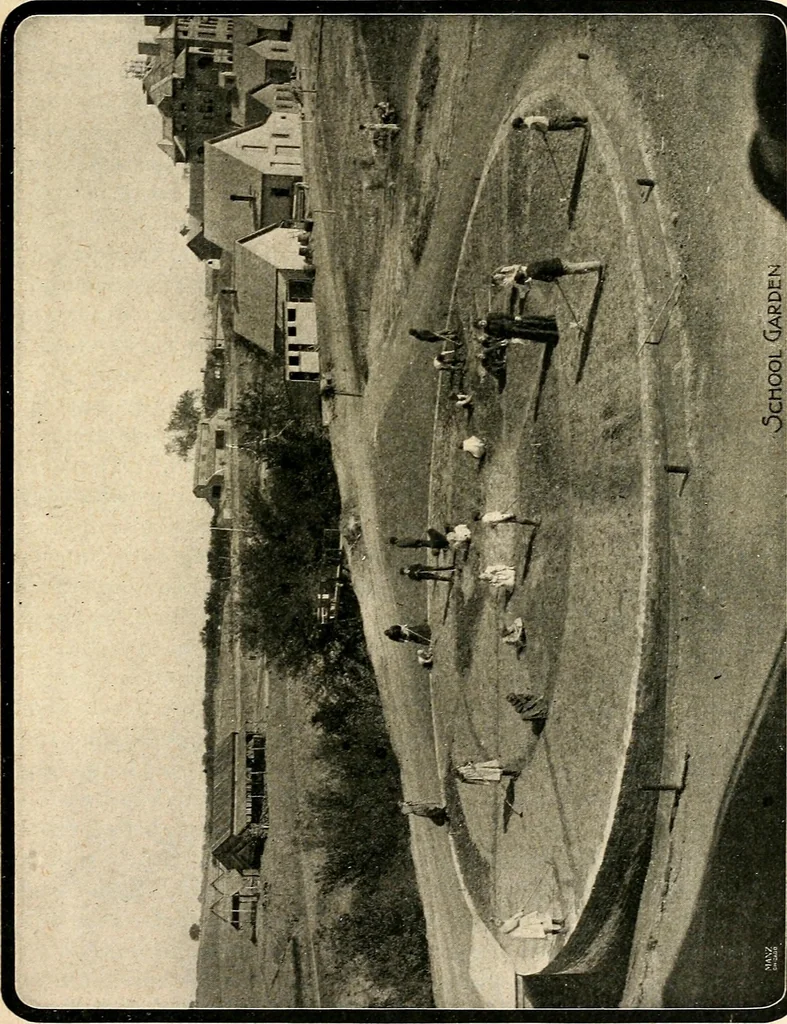 An illustration from The Kindergarten magazine, 1891, leaf 591