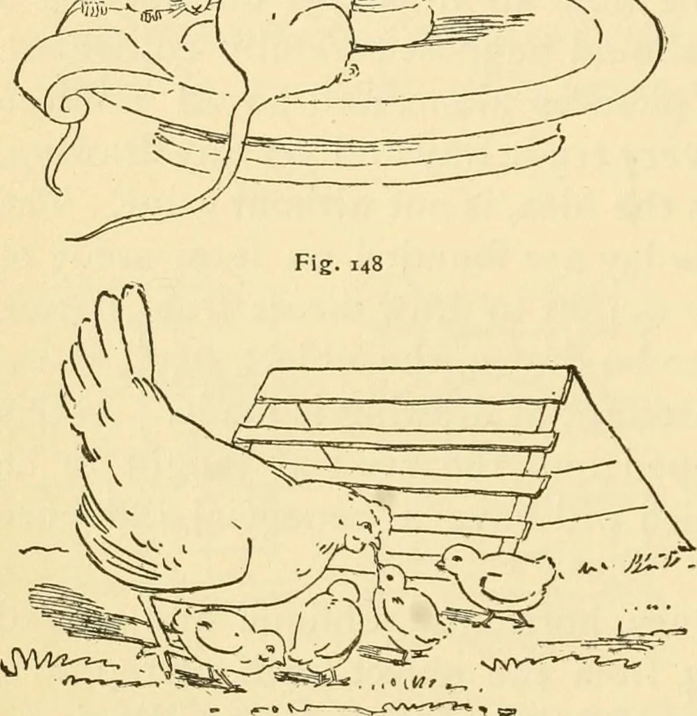 An illustration from Kindergarten, painting, plays and home entertainments; a book of amusement and instruction for boys and girls, 1900, leaf 103