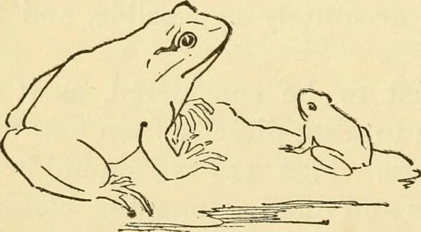 An illustration from Kindergarten, painting, plays and home entertainments; a book of amusement and instruction for boys and girls, 1900, leaf 103