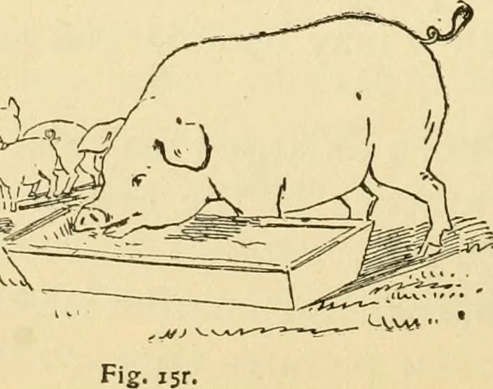 An illustration from Kindergarten, painting, plays and home entertainments; a book of amusement and instruction for boys and girls, 1900, leaf 103