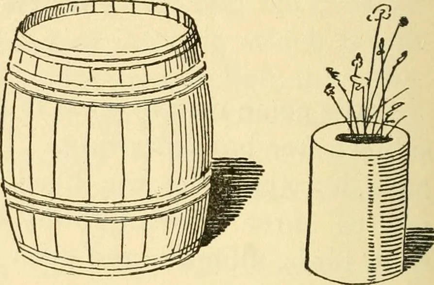 An illustration from Kindergarten, painting, plays and home entertainments; a book of amusement and instruction for boys and girls, 1900, leaf 107