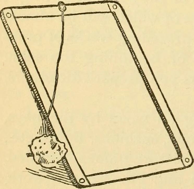 An illustration from Kindergarten, painting, plays and home entertainments; a book of amusement and instruction for boys and girls, 1900, leaf 117