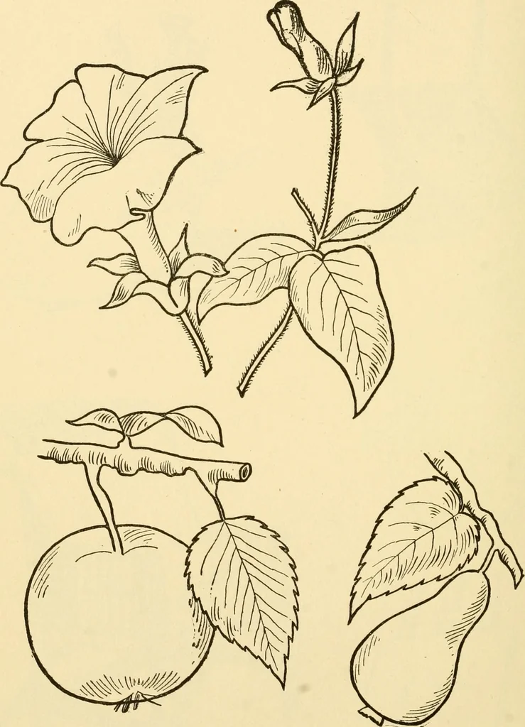 An illustration from Kindergarten, painting, plays and home entertainments; a book of amusement and instruction for boys and girls, 1900, leaf 125