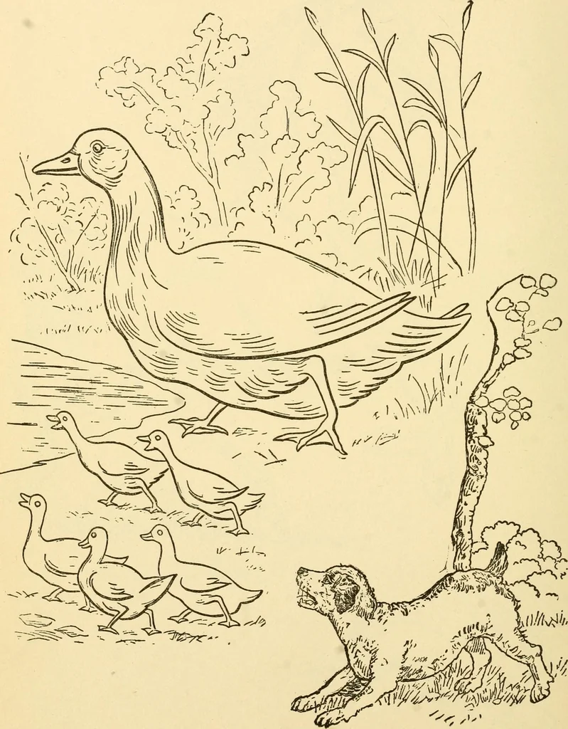 An illustration from Kindergarten, painting, plays and home entertainments; a book of amusement and instruction for boys and girls, 1900, leaf 131