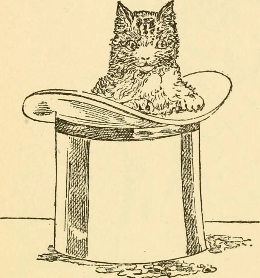 An illustration from Kindergarten, painting, plays and home entertainments; a book of amusement and instruction for boys and girls, 1900, leaf 133