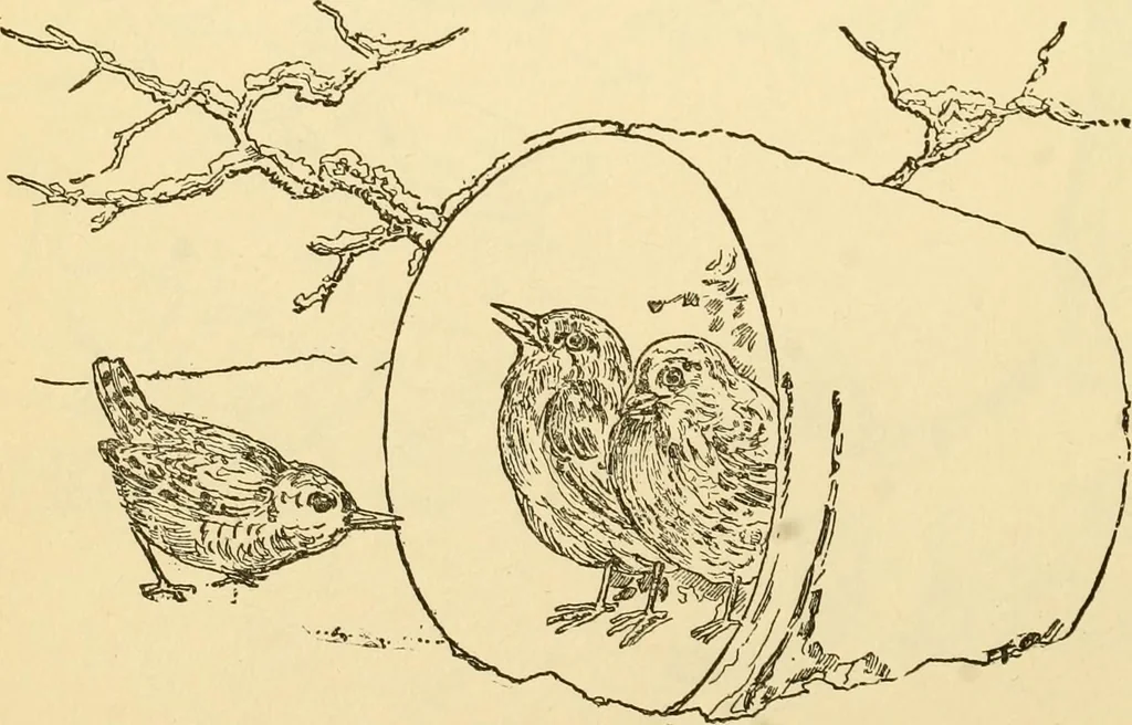 An illustration from Kindergarten, painting, plays and home entertainments; a book of amusement and instruction for boys and girls, 1900, leaf 133