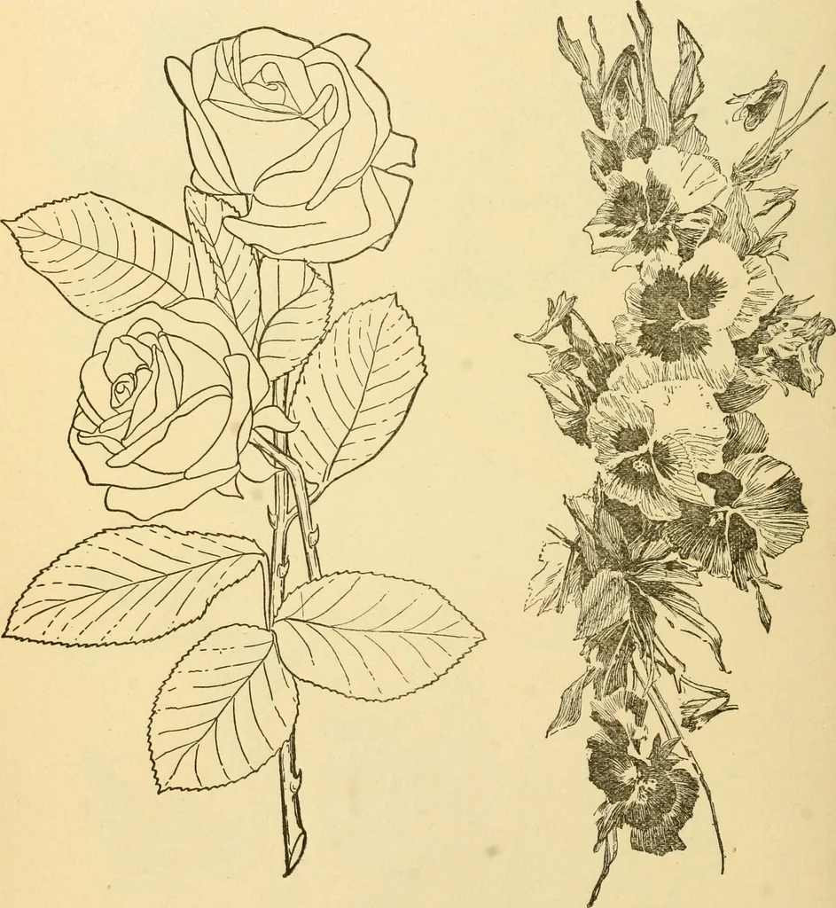 An illustration from Kindergarten, painting, plays and home entertainments; a book of amusement and instruction for boys and girls, 1900, leaf 135