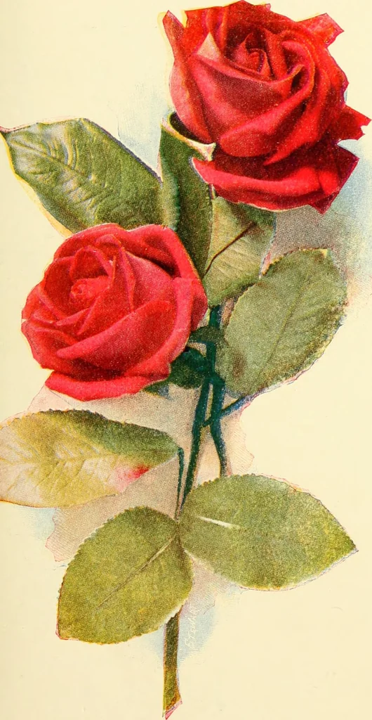An illustration from Kindergarten, painting, plays and home entertainments; a book of amusement and instruction for boys and girls, 1900, leaf 136