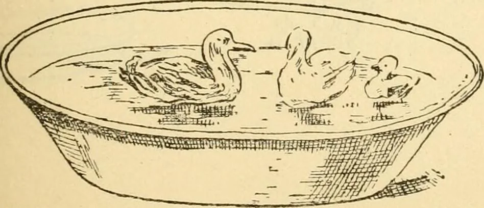 An illustration from Kindergarten, painting, plays and home entertainments; a book of amusement and instruction for boys and girls, 1900, leaf 138