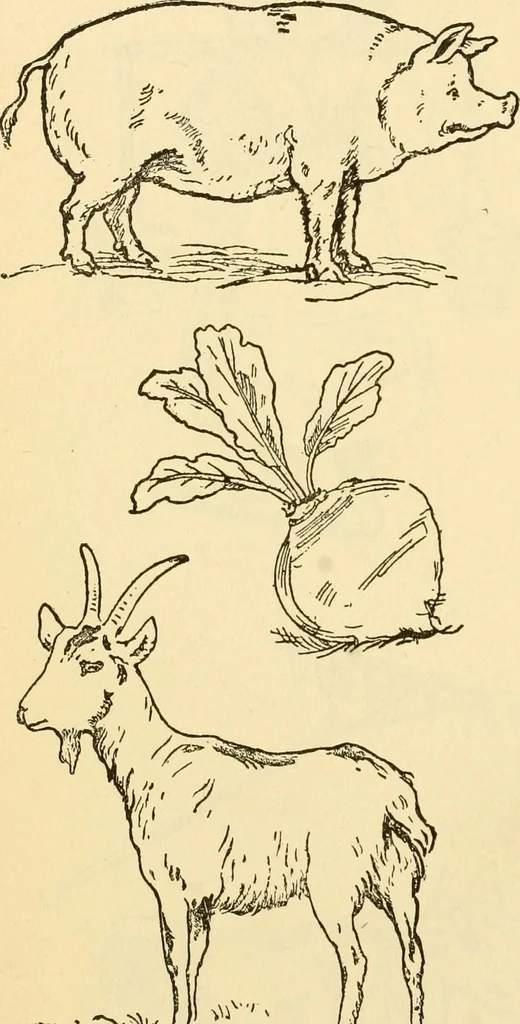 An illustration from Kindergarten, painting, plays and home entertainments; a book of amusement and instruction for boys and girls, 1900, leaf 139