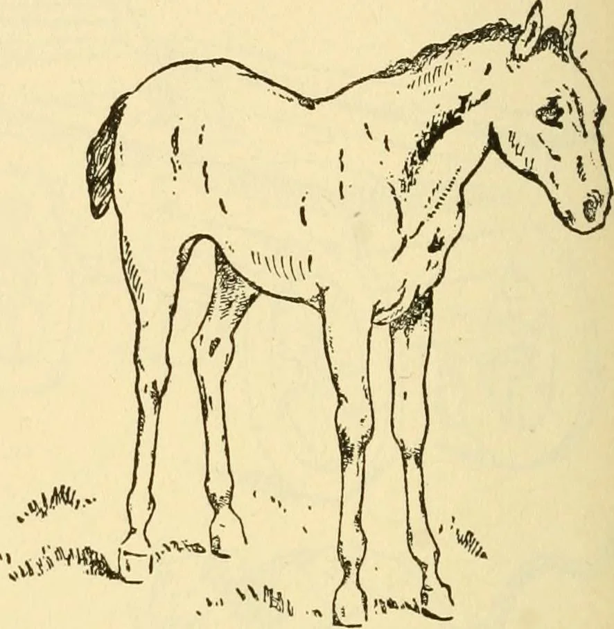 An illustration from Kindergarten, painting, plays and home entertainments; a book of amusement and instruction for boys and girls, 1900, leaf 139