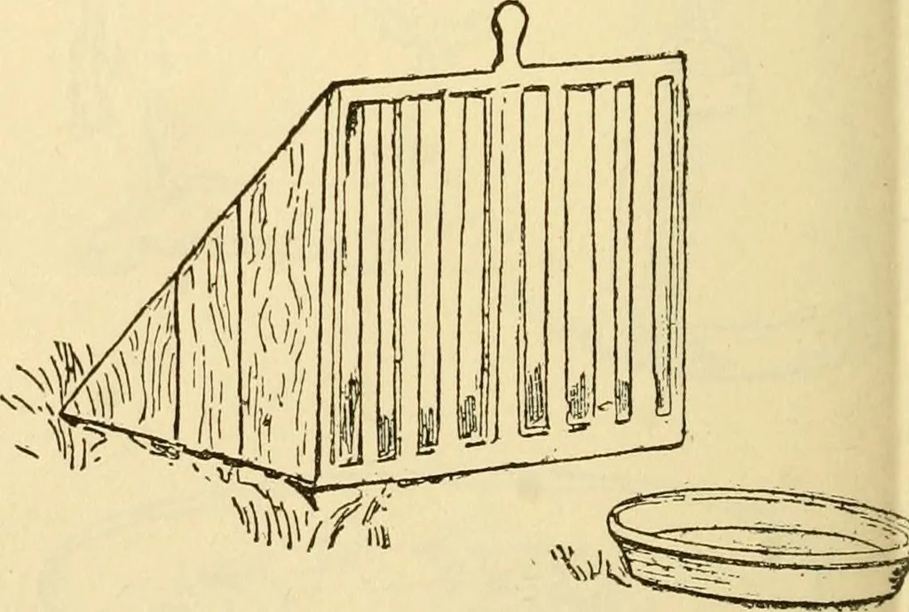 An illustration from Kindergarten, painting, plays and home entertainments; a book of amusement and instruction for boys and girls, 1900, leaf 139