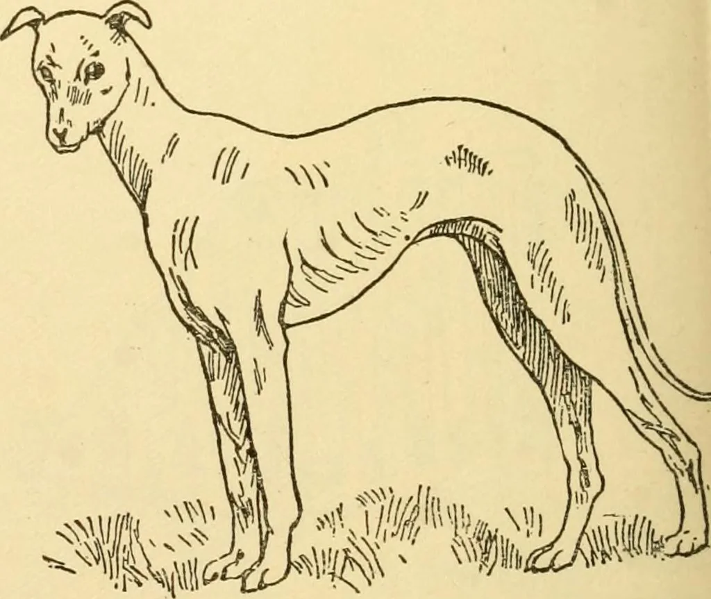 An illustration from Kindergarten, painting, plays and home entertainments; a book of amusement and instruction for boys and girls, 1900, leaf 141