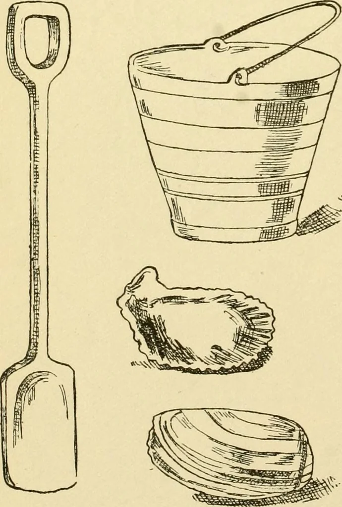 An illustration from Kindergarten, painting, plays and home entertainments; a book of amusement and instruction for boys and girls, 1900, leaf 145
