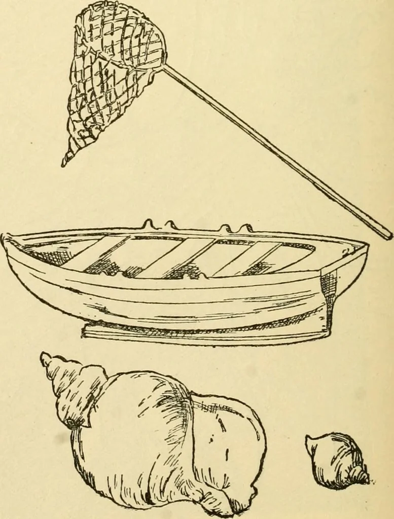 An illustration from Kindergarten, painting, plays and home entertainments; a book of amusement and instruction for boys and girls, 1900, leaf 145