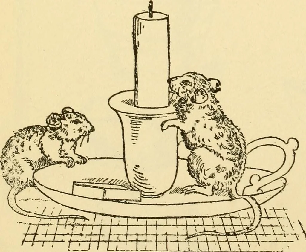 An illustration from Kindergarten, painting, plays and home entertainments; a book of amusement and instruction for boys and girls, 1900, leaf 147