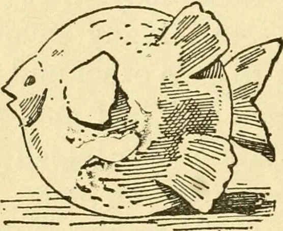 An illustration from Kindergarten, painting, plays and home entertainments; a book of amusement and instruction for boys and girls, 1900, leaf 157