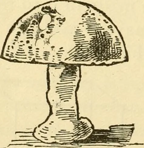 An illustration from Kindergarten, painting, plays and home entertainments; a book of amusement and instruction for boys and girls, 1900, leaf 157