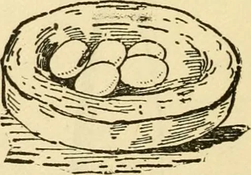 An illustration from Kindergarten, painting, plays and home entertainments; a book of amusement and instruction for boys and girls, 1900, leaf 157