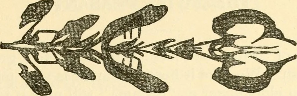 An illustration from Kindergarten, painting, plays and home entertainments; a book of amusement and instruction for boys and girls, 1900, leaf 178