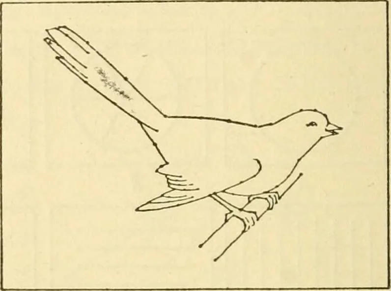 An illustration from Kindergarten, painting, plays and home entertainments; a book of amusement and instruction for boys and girls, 1900, leaf 59