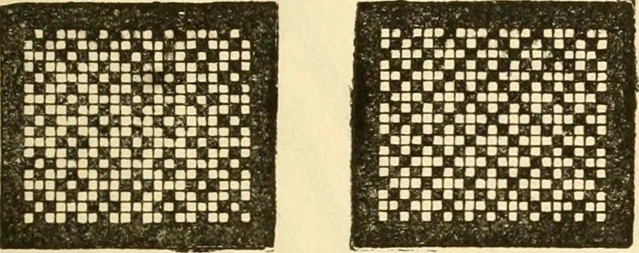 An illustration from Kindergarten, painting, plays and home entertainments; a book of amusement and instruction for boys and girls, 1900, leaf 66