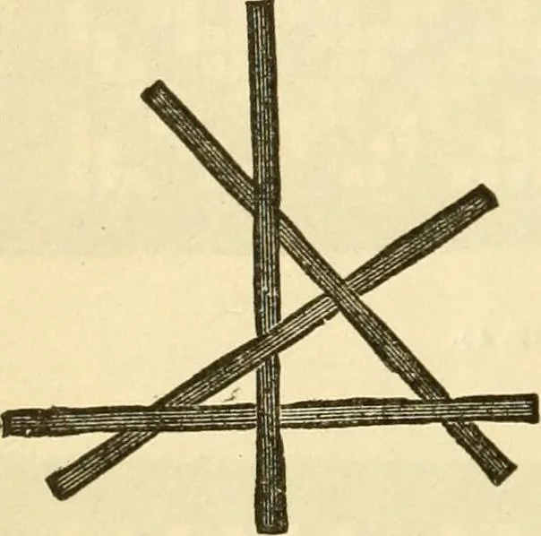 An illustration from Kindergarten, painting, plays and home entertainments; a book of amusement and instruction for boys and girls, 1900, leaf 67
