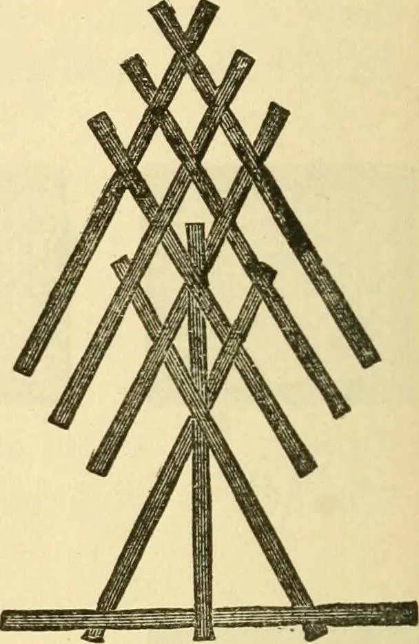 An illustration from Kindergarten, painting, plays and home entertainments; a book of amusement and instruction for boys and girls, 1900, leaf 67