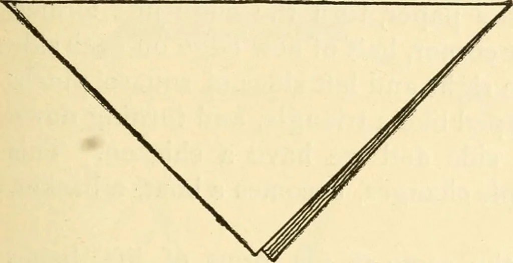 An illustration from Kindergarten, painting, plays and home entertainments; a book of amusement and instruction for boys and girls, 1900, leaf 74
