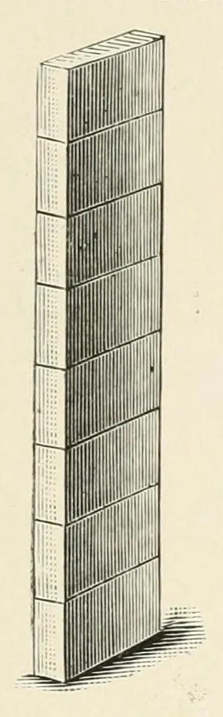 An illustration from Kindergarten papers, 1896, leaf 73