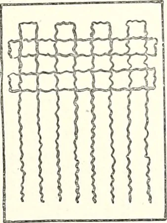 An illustration from The Kindergarten-primary magazine, 1907, leaf 106